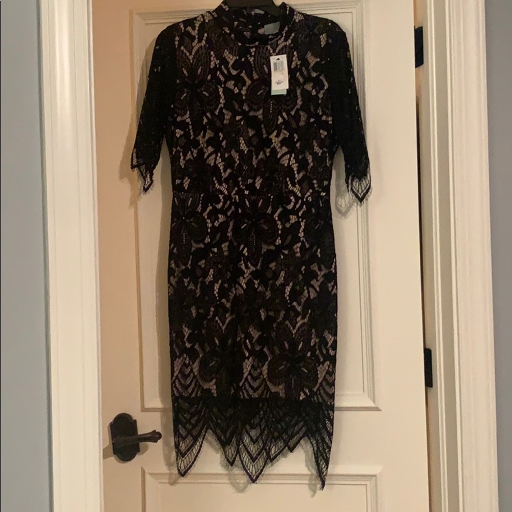Skies are Blue large lace dress